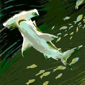 Meet your Posher, Mj